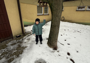 Sówki- zimowy spacer!