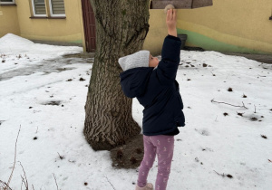 Sówki- zimowy spacer!