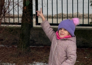 Sówki- zimowy spacer!