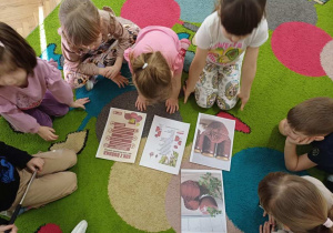 Wiewiórki- program ZDROWO ROŚNIEMY- burak!