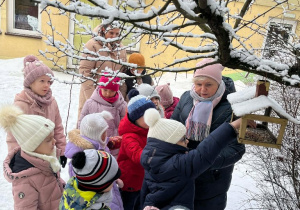 Wiewiórki- MAŁY EKSPERYMENTATOR- obserwacje przyrody!