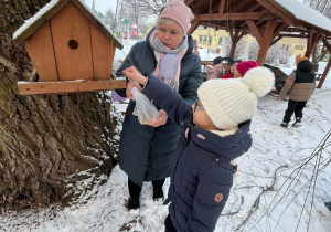 Wiewiórki- MAŁY EKSPERYMENTATOR- obserwacje przyrody!