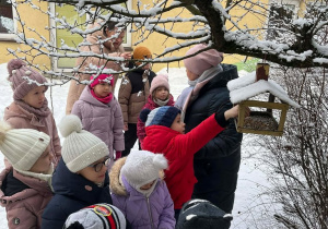Wiewiórki- MAŁY EKSPERYMENTATOR- obserwacje przyrody!