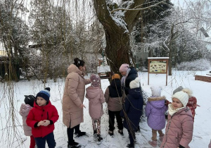 Wiewiórki- MAŁY EKSPERYMENTATOR- obserwacje przyrody!