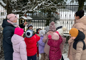 Wiewiórki- MAŁY EKSPERYMENTATOR- obserwacje przyrody!