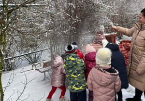 Wiewiórki- MAŁY EKSPERYMENTATOR- obserwacje przyrody!