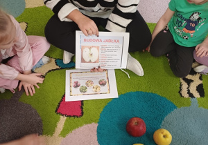 Wiewiórki- program ZDROWO ROŚNIEMY- jabłko!