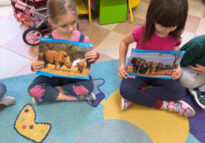 Zwierzęta egzotyczne w grupie Sówki!