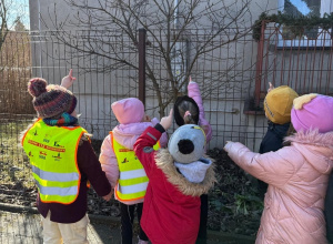 Wiosenne odkrycia Sówek!