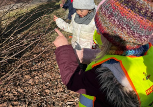 Wiosenne odkrycia Sówek!