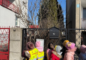 Wiosenne odkrycia Sówek!