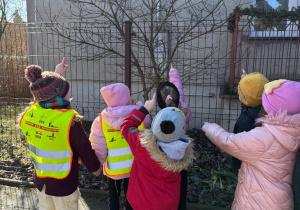 Wiosenne odkrycia Sówek!