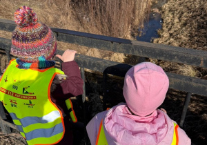 Wiosenne odkrycia Sówek!