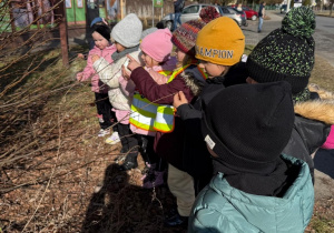 Wiosenne odkrycia Sówek!