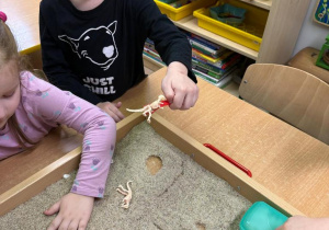 Dzień Dinozaura w grupie „Sówki" – Mały Eksperymentator!