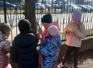 Wiewiórki- Mały Eksperymentator w przedszkolnym ogrodzie!