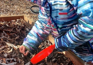 Wiewiórki- Mały Eksperymentator w przedszkolnym ogrodzie!