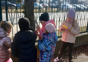 Wiewiórki- Mały Eksperymentator w przedszkolnym ogrodzie!