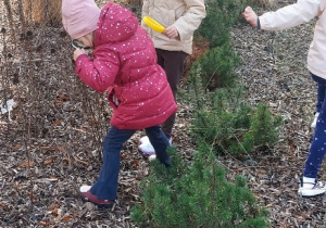 Wiewiórki- Mały Eksperymentator w przedszkolnym ogrodzie!