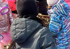 Wiewiórki- Mały Eksperymentator w przedszkolnym ogrodzie!