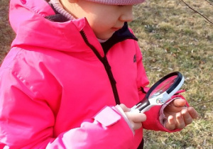 Wiewiórki- Mały Eksperymentator w przedszkolnym ogrodzie!