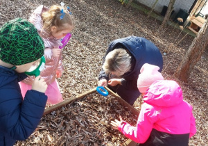 Wiewiórki- Mały Eksperymentator w przedszkolnym ogrodzie!