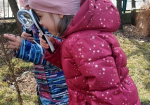 Wiewiórki- Mały Eksperymentator w przedszkolnym ogrodzie!