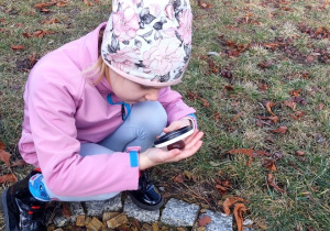 Wiewiórki- Mały Eksperymentator w przedszkolnym ogrodzie!