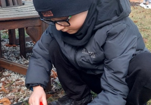 Wiewiórki- Mały Eksperymentator w przedszkolnym ogrodzie!