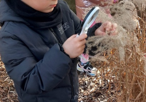 Wiewiórki- Mały Eksperymentator w przedszkolnym ogrodzie!