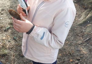 Wiewiórki- Mały Eksperymentator w przedszkolnym ogrodzie!