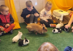 "Ślimaczki" w Fabryce Zabawy w Mysłakowie!