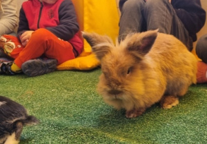 "Ślimaczki" w Fabryce Zabawy w Mysłakowie!