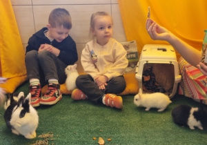 "Ślimaczki" w Fabryce Zabawy w Mysłakowie!