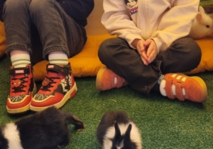 "Ślimaczki" w Fabryce Zabawy w Mysłakowie!