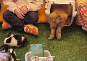 "Ślimaczki" w Fabryce Zabawy w Mysłakowie!