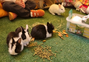 "Ślimaczki" w Fabryce Zabawy w Mysłakowie!