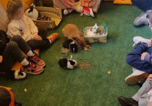 "Ślimaczki" w Fabryce Zabawy w Mysłakowie!