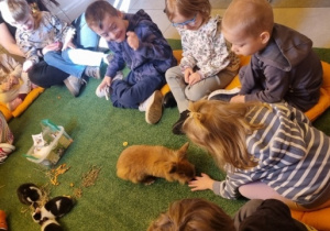 "Ślimaczki" w Fabryce Zabawy w Mysłakowie!