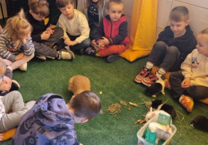 "Ślimaczki" w Fabryce Zabawy w Mysłakowie!