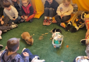 "Ślimaczki" w Fabryce Zabawy w Mysłakowie!