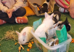 "Ślimaczki" w Fabryce Zabawy w Mysłakowie!