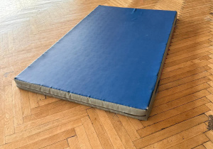 "Mróweczki" i "Sówki" na Międzyprzedszkolnej Olimpiadzie Sportowej organizowanej przez OSiR w Łowiczu!