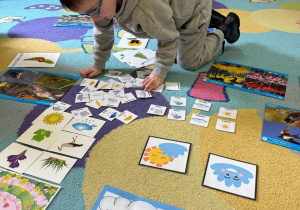 Wiosna zawitała do Sówek!