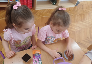 Wiosenny kącik przyrody- Wiewiórki! Mały Eksperymentator!