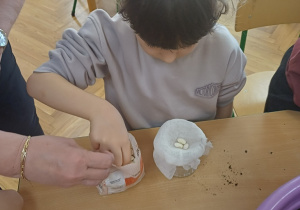 Wiosenny kącik przyrody- Wiewiórki! Mały Eksperymentator!