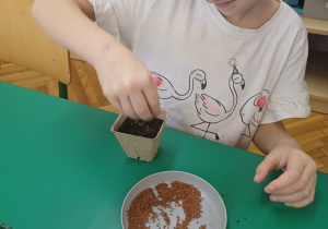 Wiosenny kącik przyrody- Wiewiórki! Mały Eksperymentator!