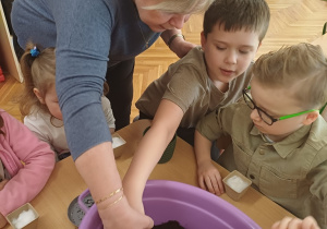 Wiosenny kącik przyrody- Wiewiórki! Mały Eksperymentator!