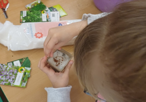 Wiosenny kącik przyrody- Wiewiórki! Mały Eksperymentator!