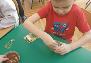 Wiosenny kącik przyrody- Wiewiórki! Mały Eksperymentator!